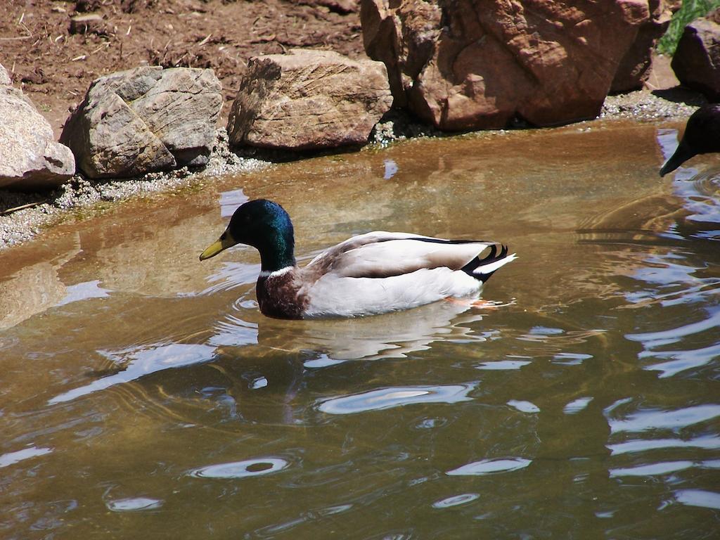 Parque Biologico De Виньяйш Экстерьер фото