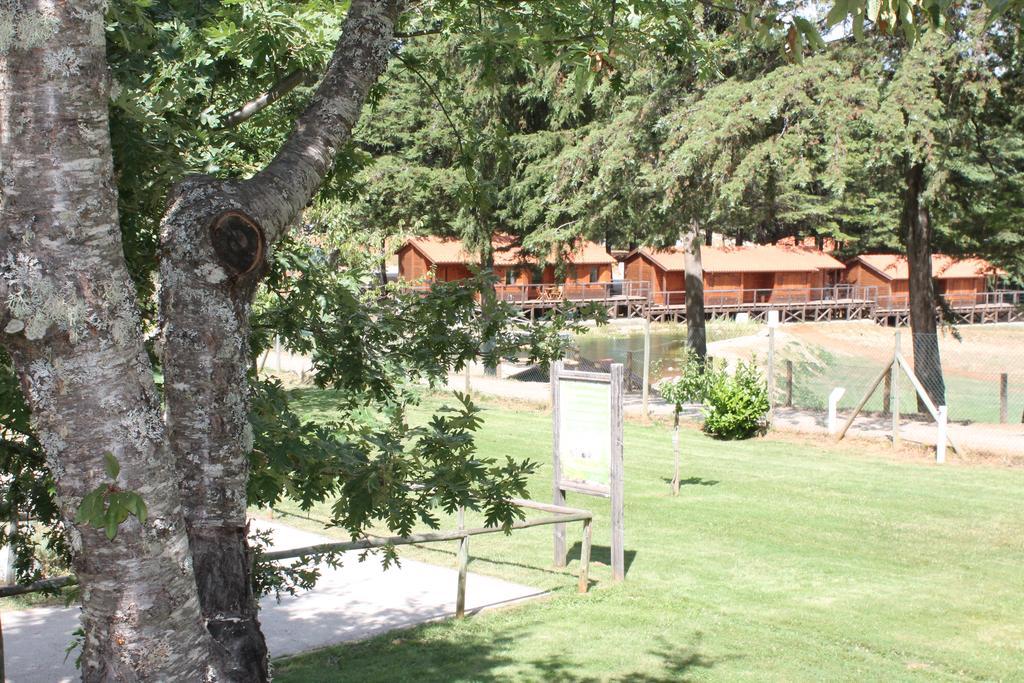 Parque Biologico De Виньяйш Экстерьер фото